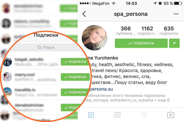 instagram following
